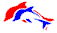 loguito1aquarium.gif (403 bytes)